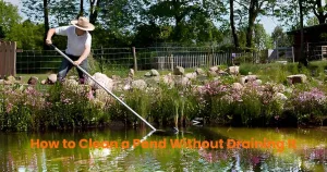 How-to-Clean-a-Pond-Without-Draining