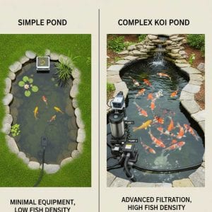 Side by side comparison of a simple DIY pond system and a complex professionally maintained koi pond