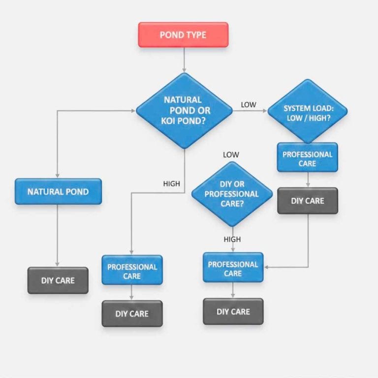 Flowchart showing pond types and when professional maintenance is needed