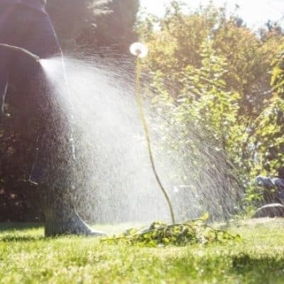 Pond-Weed-Removal