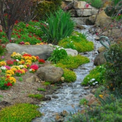commercial-campus-stream-repair-1 commercial-campus-stream-repair-1