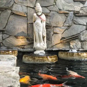 Koi-pond-service-and-construction-orange-county-ca
