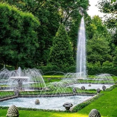 491aa45b29e82a683ed3af70e9c81df6