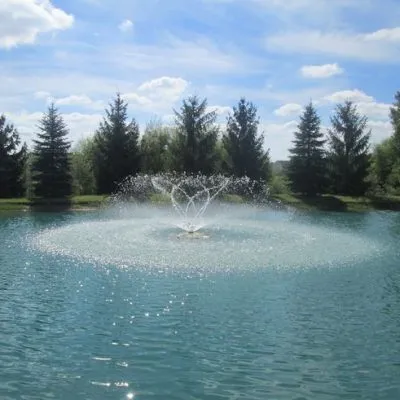 7459ba492ce60e8bff5add6c57a62772