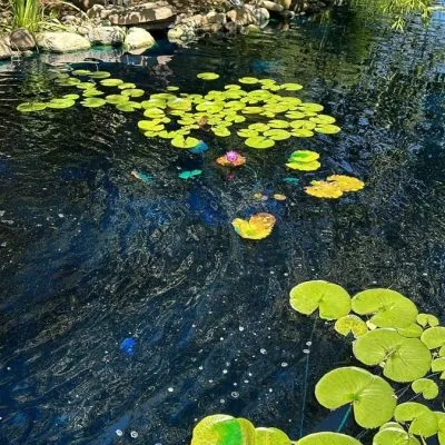 7d07d1b09adc593977bdb290e867697f