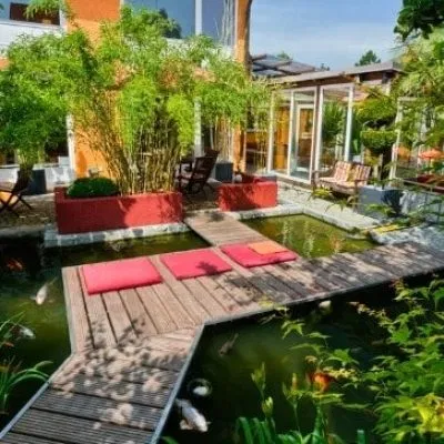 Koi-Pond-Emergencies