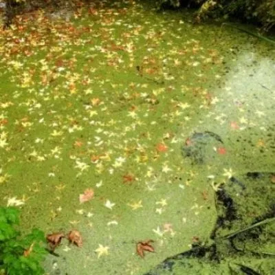 ????????????????????