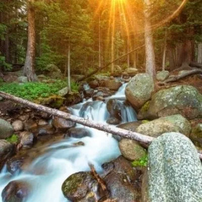 ????????????????????????