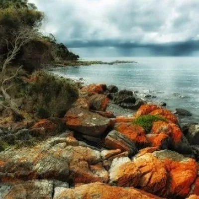 ??????????????????????