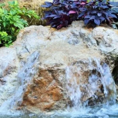 ?????????????????????????