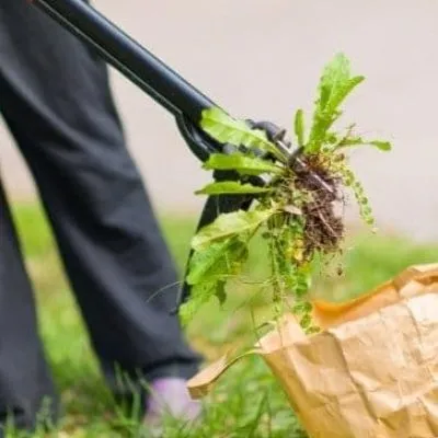 ????????????????????