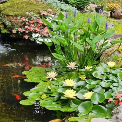 c20183fc1e3a7bd16a07d9d75706b2e4