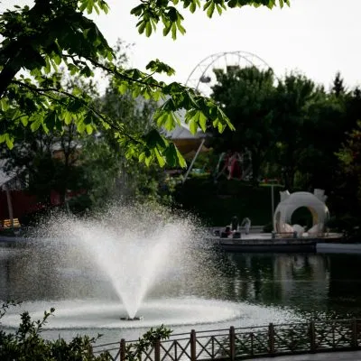 pexels-omerderinyar-16892419