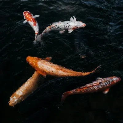 pexels-photo-10211121