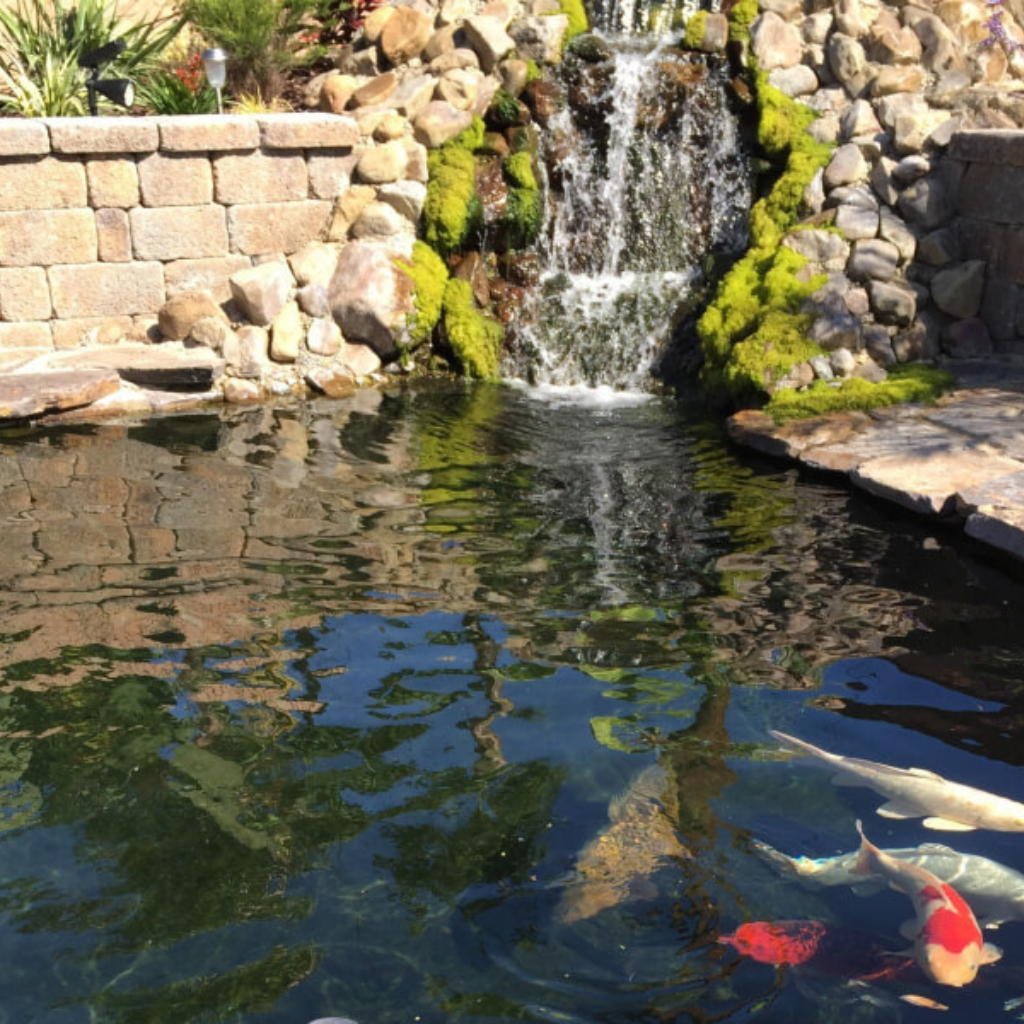Cement Fountain